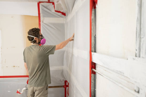 Best Forensic Mold Investigation  in Red Lake Falls, MN