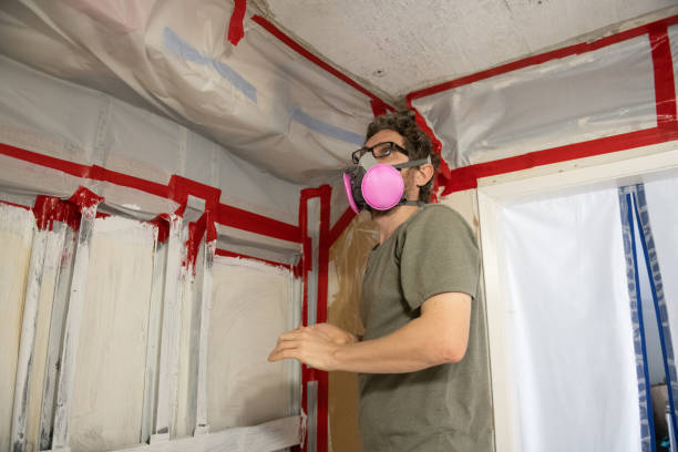 Trusted Red Lake Falls, MN Mold Removal Experts