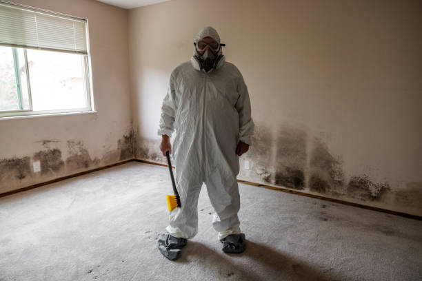 Best Biohazard Mold Removal  in Red Lake Falls, MN